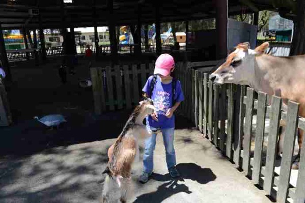 AusFarm-037.jpeg AusFarm 037