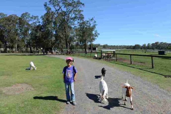 AusFarm-040.jpeg AusFarm 040