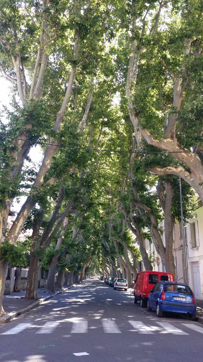 Avignon-03.jpeg Avignon 03