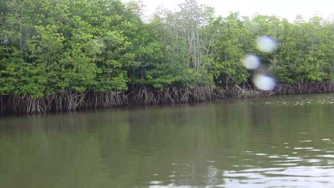 Bindan-08.jpeg Bindan 08