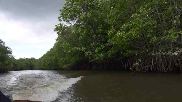 Bindan-09.jpeg Bindan 09