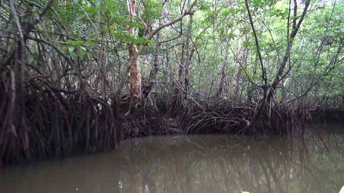 Bindan-10.jpeg Bindan 10