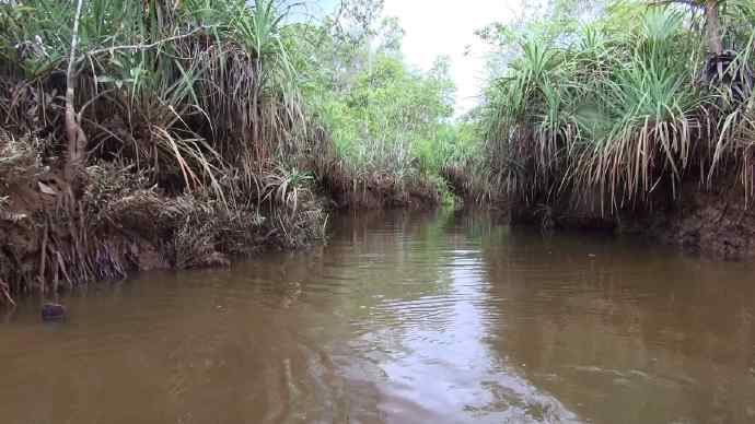 Bindan-14.jpeg Bindan 14