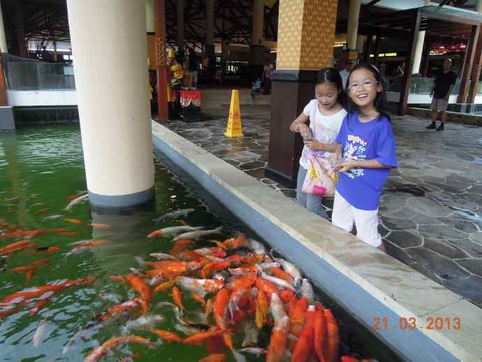 Bindan-17.jpeg Bindan 17