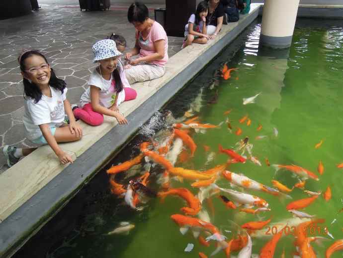 BindanResort-09.jpeg BindanResort 09