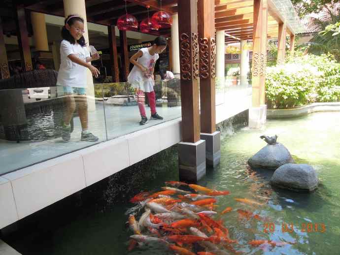 BindanResort-10.jpeg BindanResort 10