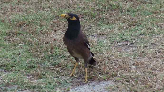 BindanResort-18.jpeg BindanResort 18