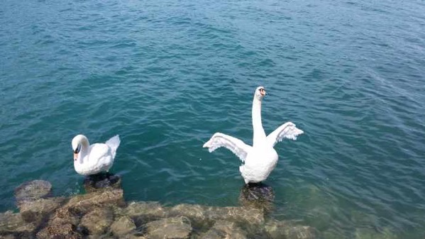 Burne-05.jpeg Burne 05