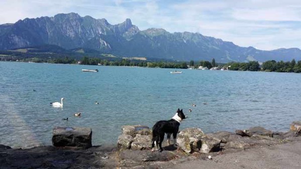 Burne-06.jpeg Burne 06