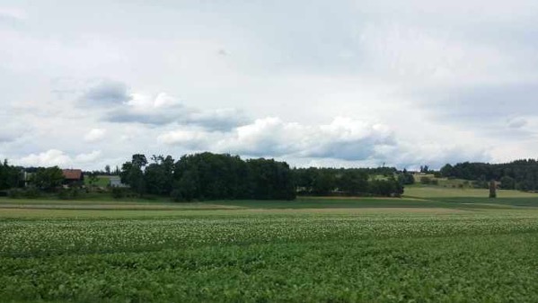 Burne-18.jpeg Burne 18