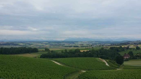 Burne-33.jpeg Burne 33