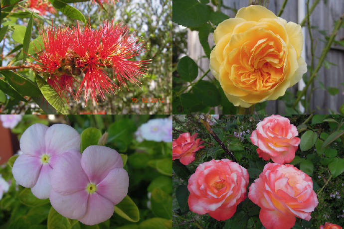 ByeLylidal-04.jpeg ByeLylidal 04