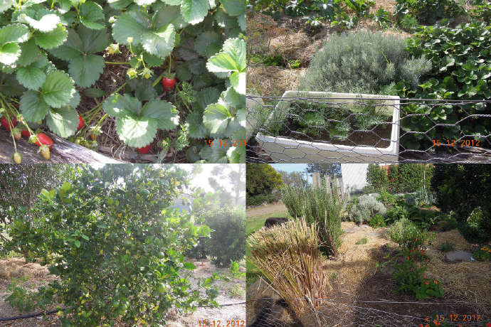 ByeLylidal-05.jpeg ByeLylidal 05