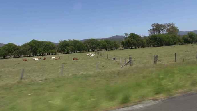 ByeLylidal-09.jpeg ByeLylidal 09