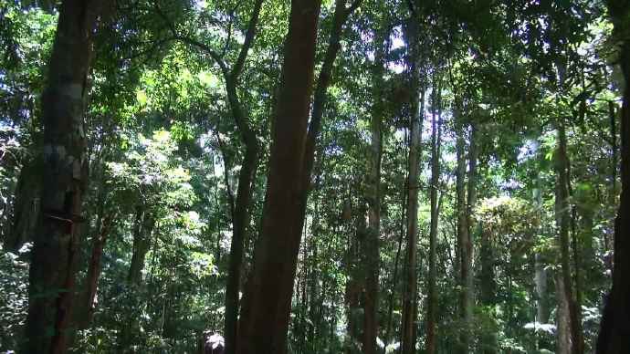 ByeLylidal-12.jpeg ByeLylidal 12