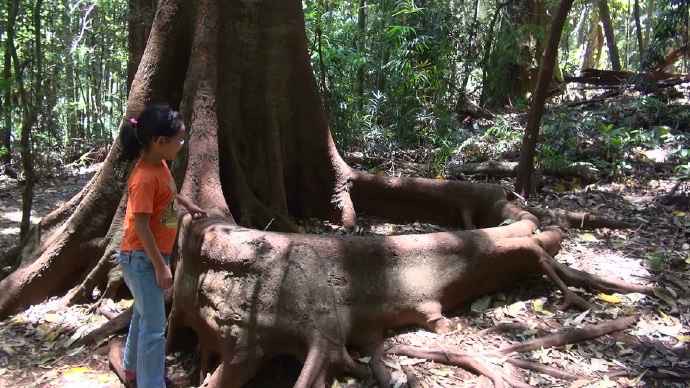 ByeLylidal-13.jpeg ByeLylidal 13