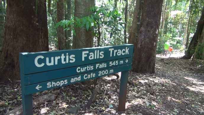 ByeLylidal-14.jpeg ByeLylidal 14