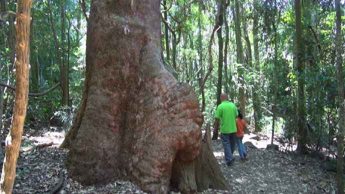 ByeLylidal-16.jpeg ByeLylidal 16