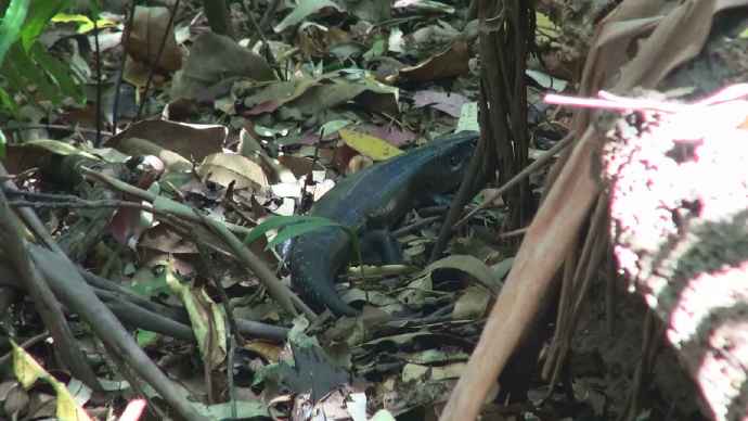 ByeLylidal-17.jpeg ByeLylidal 17