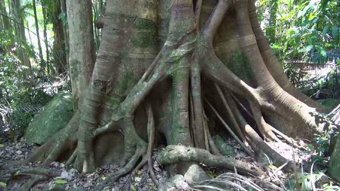 ByeLylidal-18.jpeg ByeLylidal 18