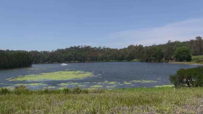 ByeLylidal-20.jpeg ByeLylidal 20