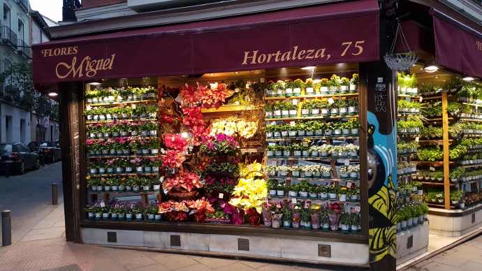 Cacun-35.jpeg Cacun 35