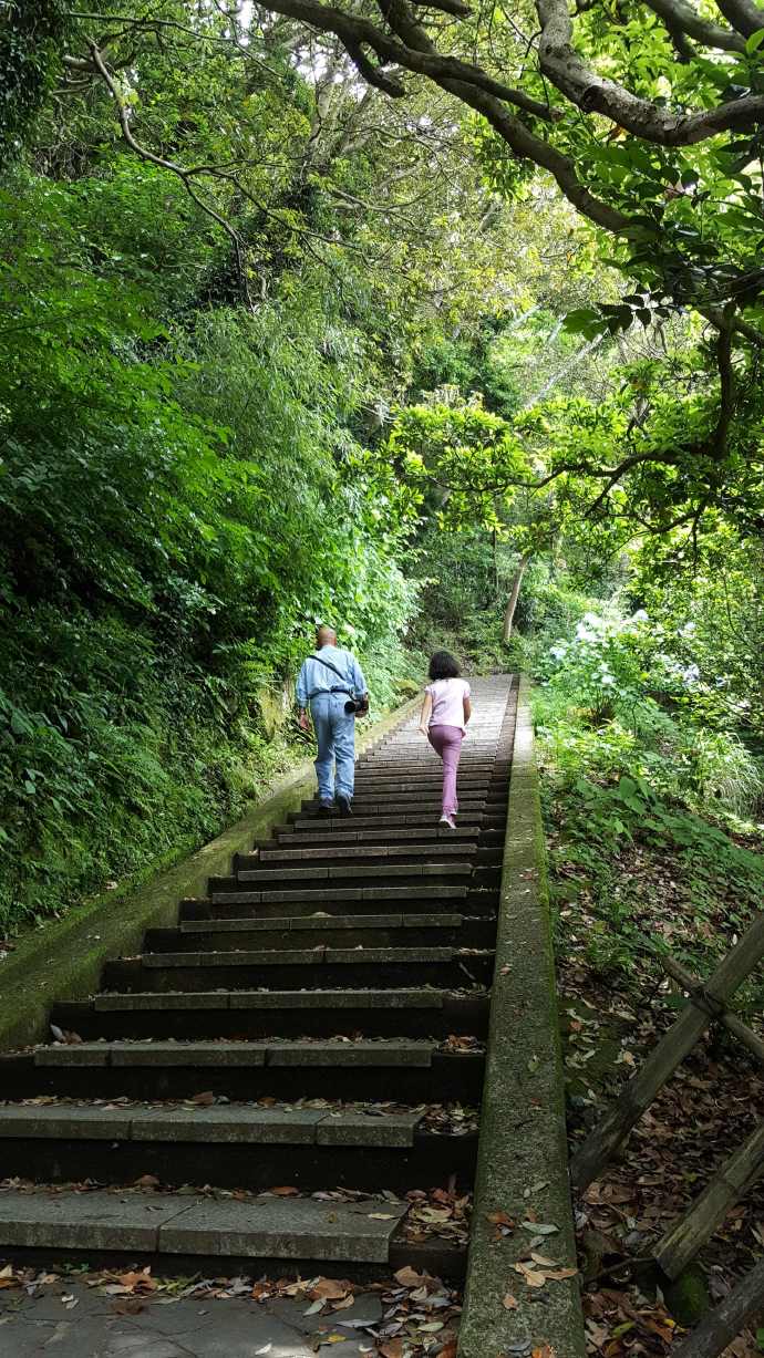 ChibaJP-06.jpeg ChibaJP 06