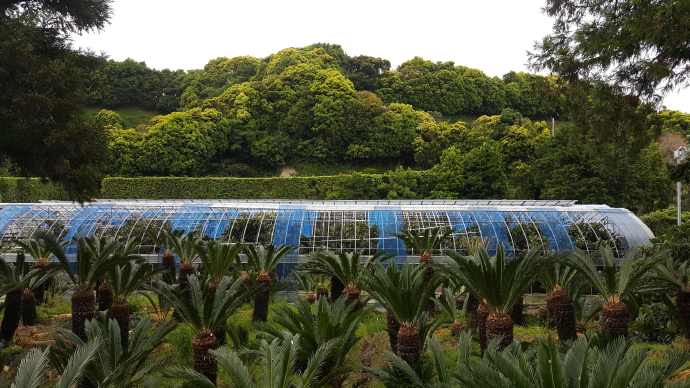 ChibaJP-25.jpeg ChibaJP 25