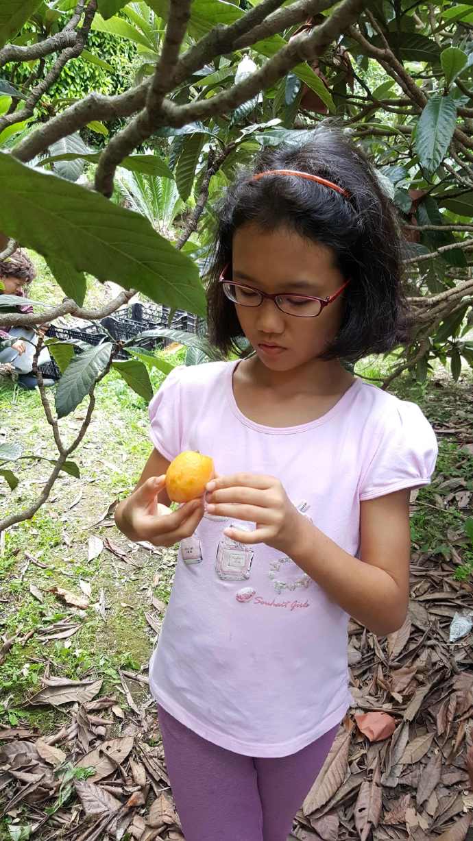 ChibaJP-28.jpeg ChibaJP 28