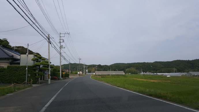 ChibaJP-30.jpeg ChibaJP 30