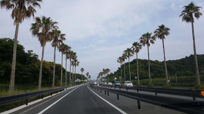 ChibaJP-31.jpeg ChibaJP 31