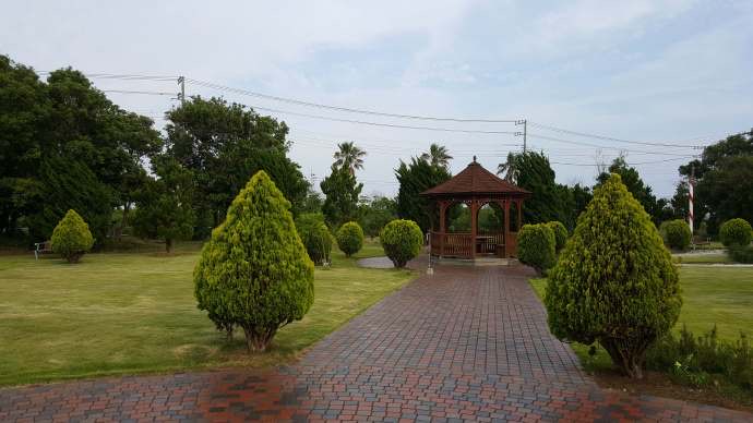 ChibaJP-33.jpeg ChibaJP 33