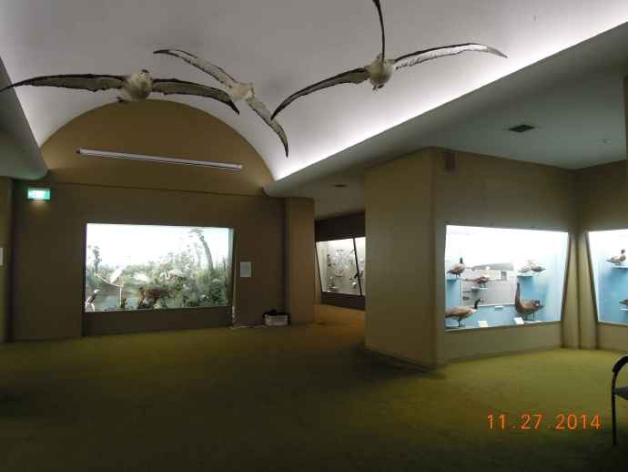 Christchurch-21.jpeg Christchurch 21