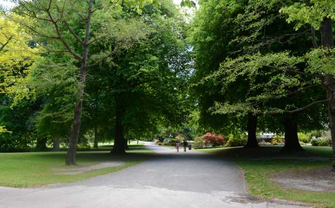 Christchurch-25.jpeg Christchurch 25