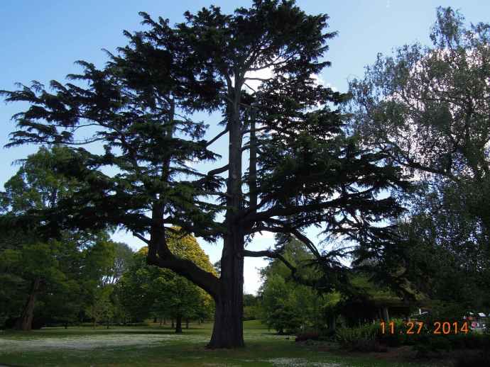 Christchurch-26.jpeg Christchurch 26