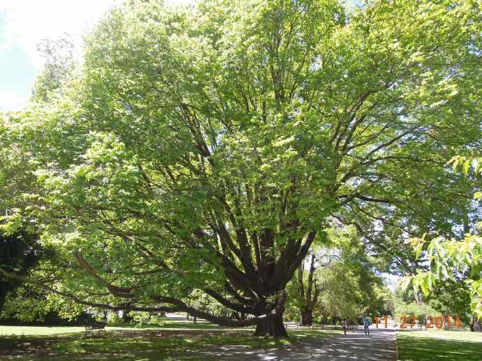 Christchurch-27.jpeg Christchurch 27