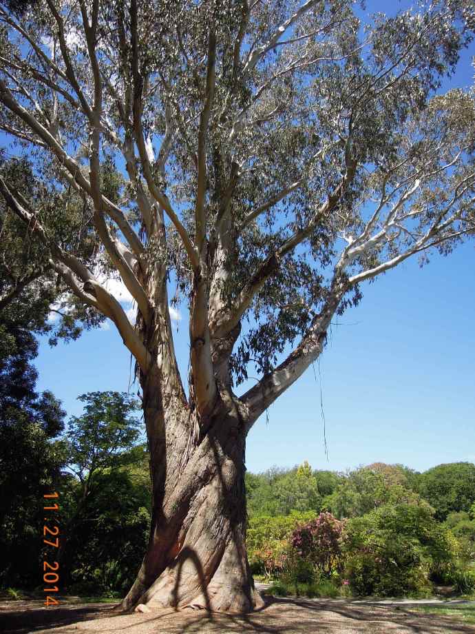 Christchurch-28.jpeg Christchurch 28