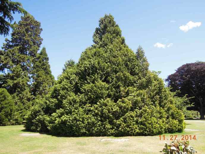 Christchurch-29.jpeg Christchurch 29