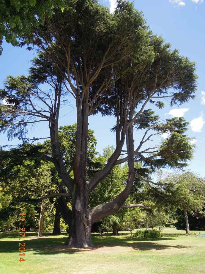 Christchurch-30.jpeg Christchurch 30