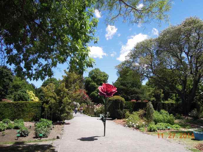 Christchurch-31.jpeg Christchurch 31