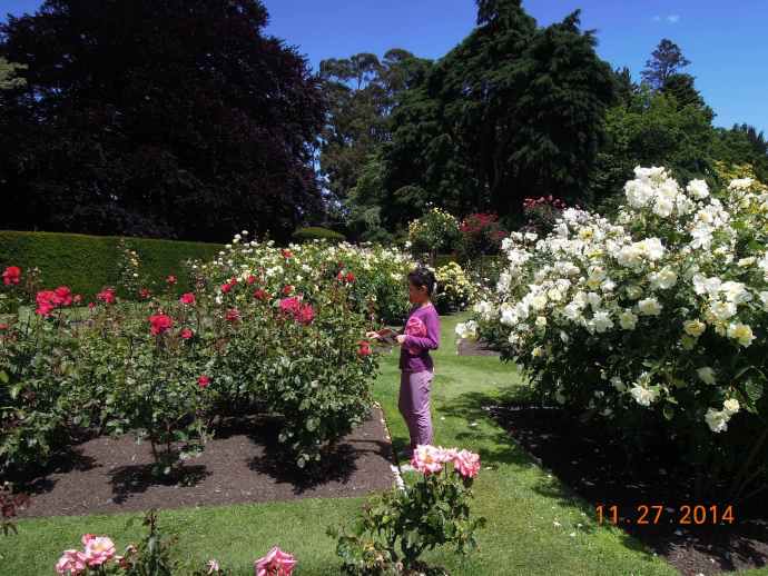 Christchurch-32.jpeg Christchurch 32