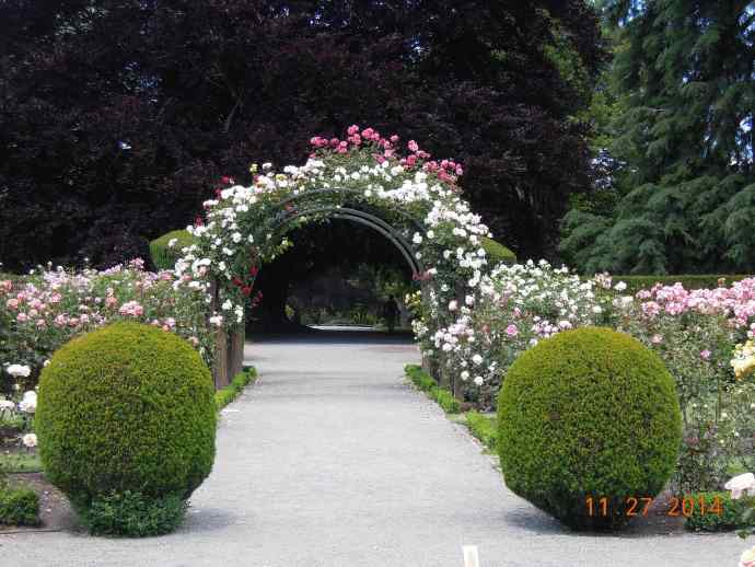 Christchurch-33.jpeg Christchurch 33