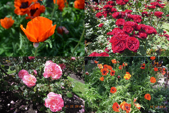 Christchurch-34.jpeg Christchurch 34