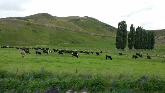 CliffPuzzling-02.jpeg CliffPuzzling 02