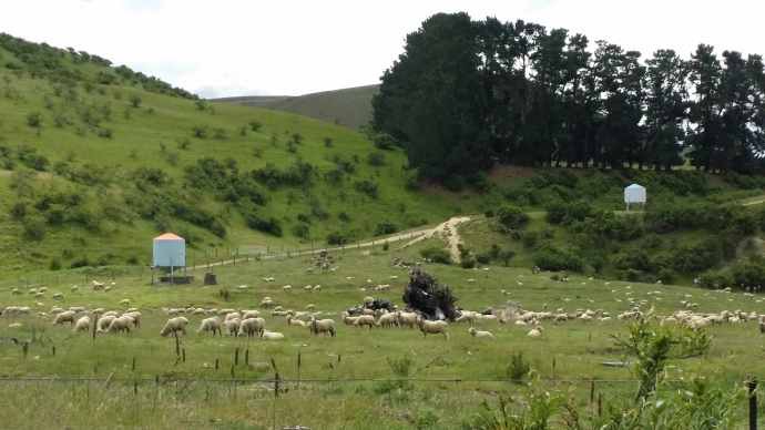 CliffPuzzling-18.jpeg CliffPuzzling 18