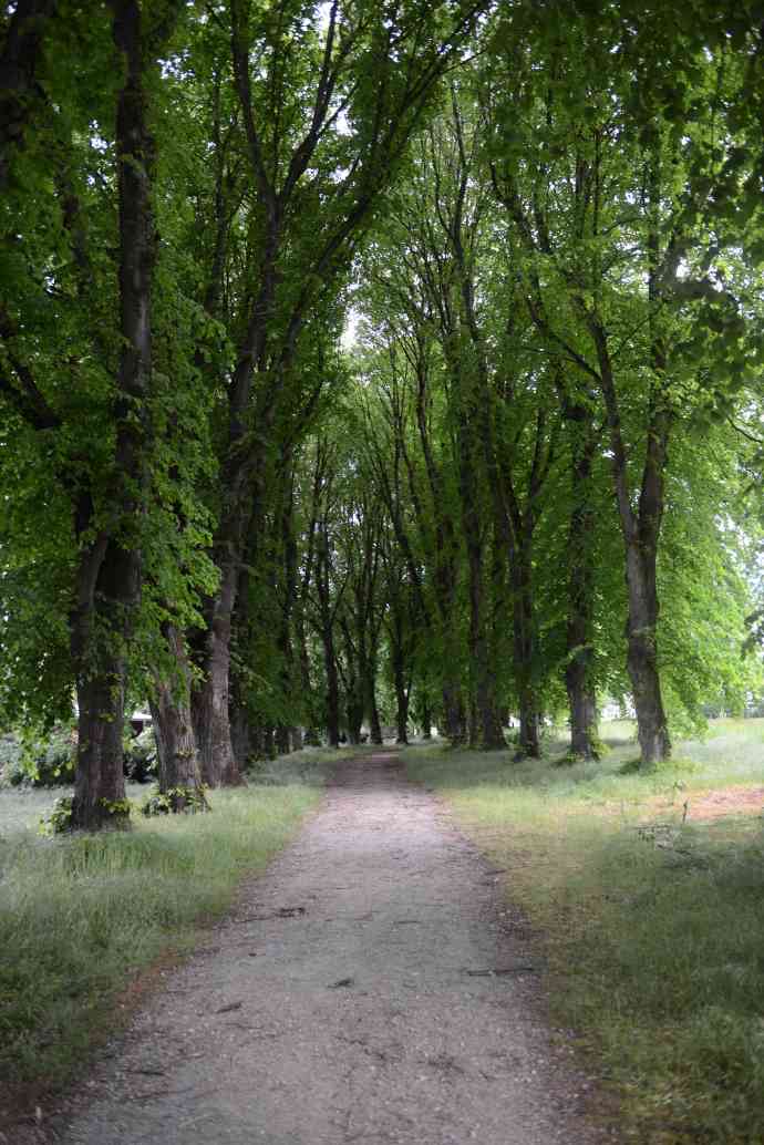 CliffPuzzling-28.jpeg CliffPuzzling 28