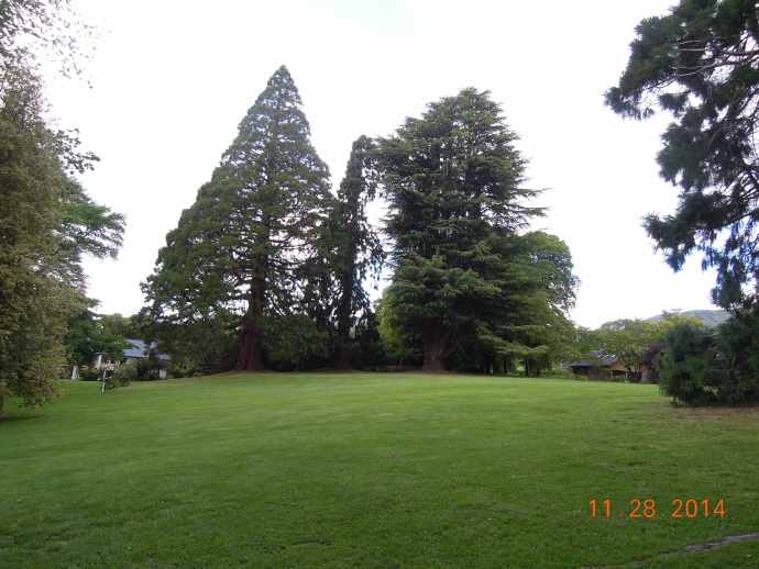 CliffPuzzling-29.jpeg CliffPuzzling 29