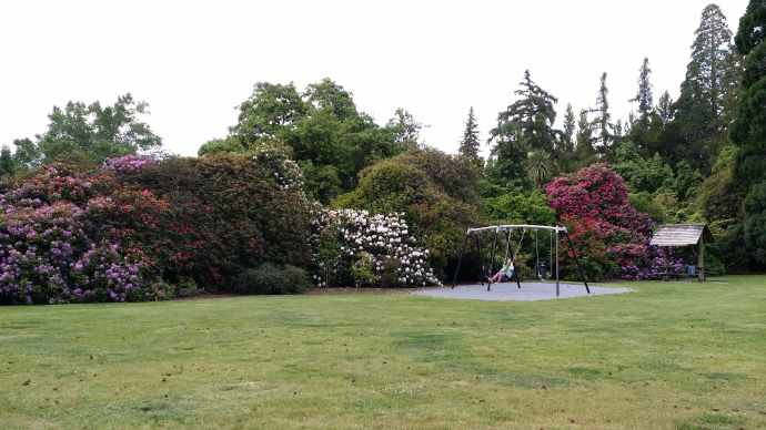 CliffPuzzling-30.jpeg CliffPuzzling 30