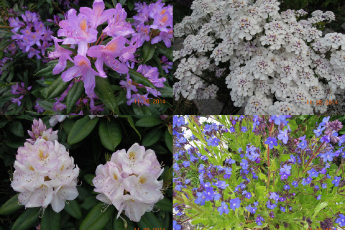 CliffPuzzling-31.jpeg CliffPuzzling 31