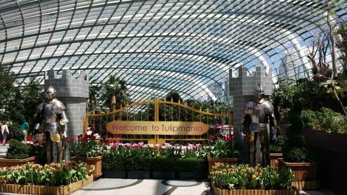 Domes-01.jpeg Domes 01